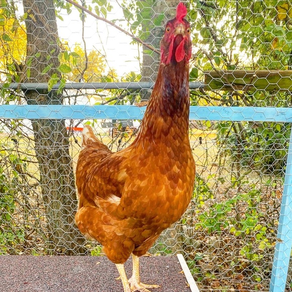 Meet your Posher, Jaime - Picture 13 of 16